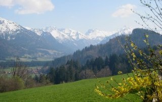 herrlicher Panoramablick in die Allgäuer Berge.